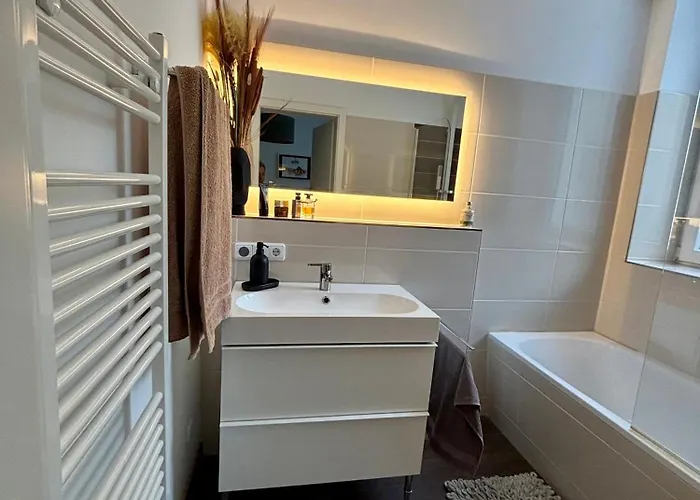 Appartement Stadtwohnung Mit Loft-charakter Chemnitz